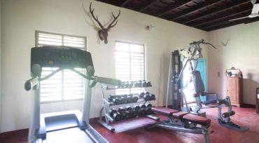 Ancestral Home Gym